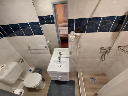 a bathroom with a white toilet and a sink at Oázis Vendégház és Appartman in Szilvásvárad