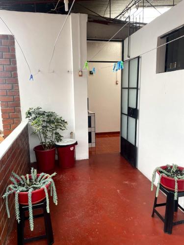 a room with two stools and two potted plants at Hospedaje Familiar Laos in Oxapampa