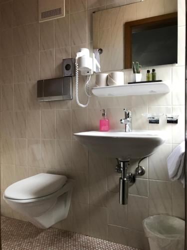 a bathroom with a sink and a toilet and a mirror at Gasthaus zum Goldenen Kreuz in Rafz