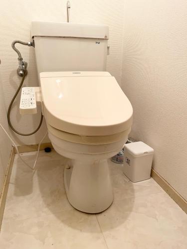 a bathroom with a white toilet in a room at Shinjuku Shin-Okubo Station Nippon no Yado in Tokyo