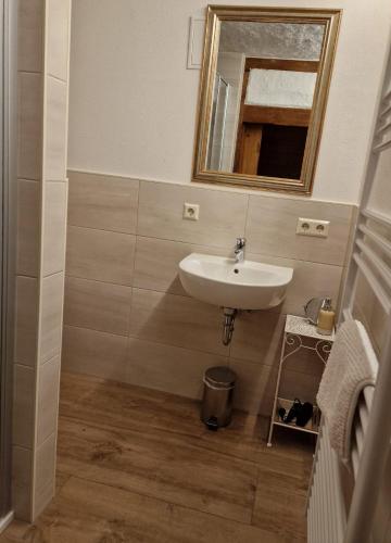 a bathroom with a sink and a mirror at Zum Alten Schulhaus in Burg