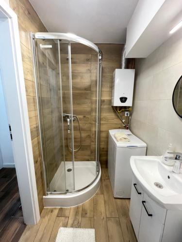 La salle de bains est pourvue d'une douche, de toilettes et d'un lavabo. dans l'établissement Apartament Centrum, à Łańcut