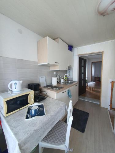 Kuchyň nebo kuchyňský kout v ubytování Apartment Dvorac