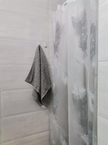 a shower with a shower curtain and a towel at Apartman Petrov in Pančevo