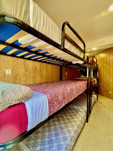 マドリードにあるHostel Best Stayの二段ベッド2組が備わる客室です。