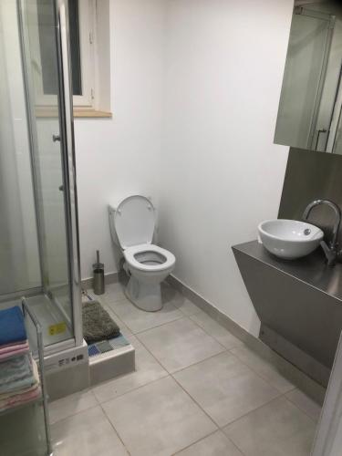 a bathroom with a toilet and a sink at Appart 2 in Carla-Bayle