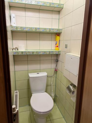 a bathroom with a white toilet in a room at Apartament Relax in Stronie Śląskie