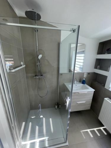 ein Bad mit einer Dusche und einem Waschbecken in der Unterkunft Ferienwohnungen mitten in Hamburg in Hamburg