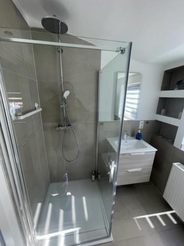 a bathroom with a shower and a sink at Ferienwohnungen mitten in Hamburg in Hamburg