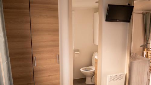 オンザンにあるMOBILHOME Familialの小さなバスルーム(トイレ付)、テレビが備わります。