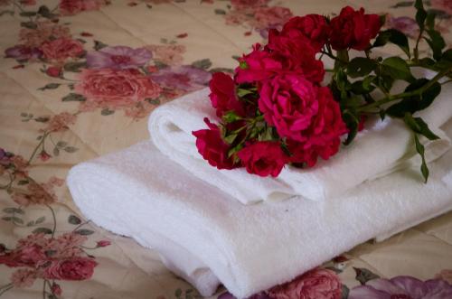 ein Strauß roter Rosen auf einem Handtuch in der Unterkunft ALYSSA SWEET DREAMS -Holidays House in Sora