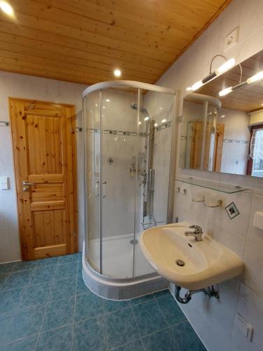 a bathroom with a shower and a sink at Ferienwohnung zur Saaleaue in Wettin