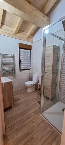 a bathroom with a toilet and a glass shower at Apartamentos Les Texuques II in Nueva de Llanes