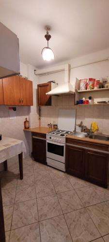 a kitchen with a stove and a sink at pokoje gościnne Grażyna in Cieszyn
