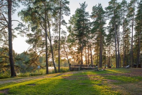 a path in a forest with trees and a bridge at Saarjärve Villa järve ääres 28-le, 8 magamistuba in Tromsi
