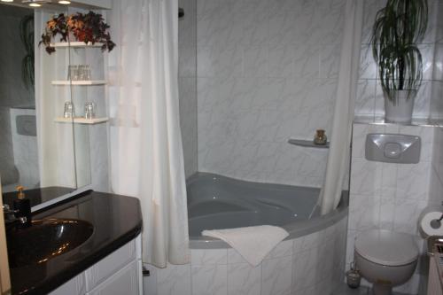 Ett badrum på Wellness Hotel Pension & Gaststätte Riedel