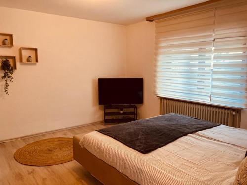 een slaapkamer met een bed en een flatscreen-tv bij Rheindomizil 43 in Karsau