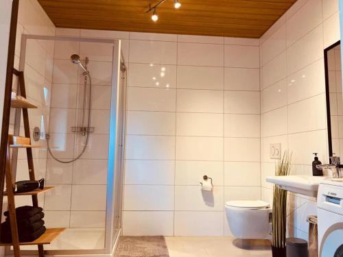 a bathroom with a shower and a toilet at Rheindomizil 43 in Karsau