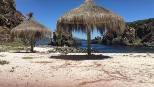 two straw umbrellas on a beach near the water at Casa en la playa entre Pichidangui y Los Vilos in Los Vilos