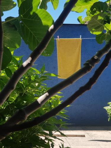 a yellow shirt hanging on a clothes line in front of a blue building at Blue Wall BnB in Gebenstorf