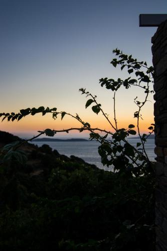 a view of the ocean at sunset from a house at The Antique House in Batsi