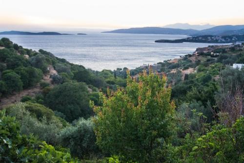 a view of the water from a hill with trees at The Antique House in Batsi