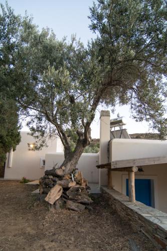a tree in front of a house with a pile of logs at The Antique House in Batsi