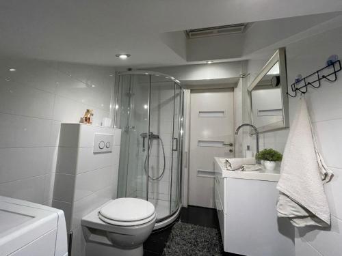 Kúpeľňa v ubytovaní Apartman Rakovac