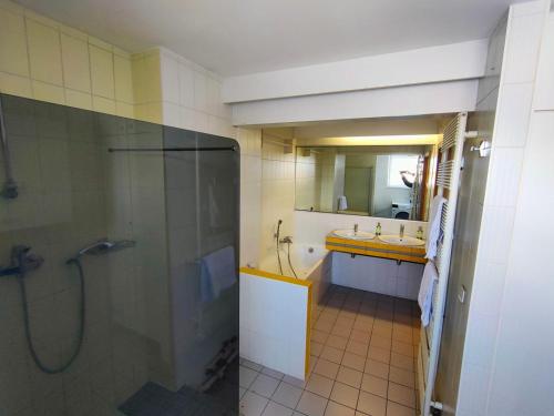 W łazience znajduje się prysznic, umywalka i lustro. w obiekcie Calme Lumineux Spacieux Accueillant w Miluzie