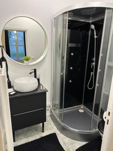 une salle de bain avec une douche avec un lavabo et un miroir dans l'établissement Le cocon, à Reims