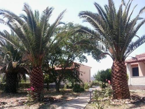 Bird Watching Oasis Skala Kallonis