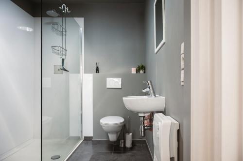 La salle de bains est pourvue de toilettes, d'un lavabo et d'une douche. dans l'établissement Het Oplaadpunt bed, bike, hike, 4-8 p, à Dixmude