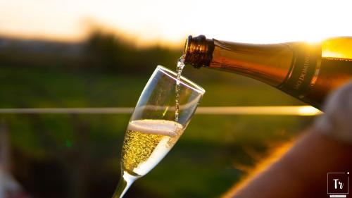 a glass of white wine being poured at Quinta das Donas in Anadia