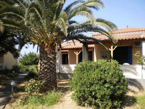 Сад в Bird Watching Oasis Skala Kallonis