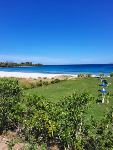 a beach with blue umbrellas and the ocean at Relax al Mare in Olbia