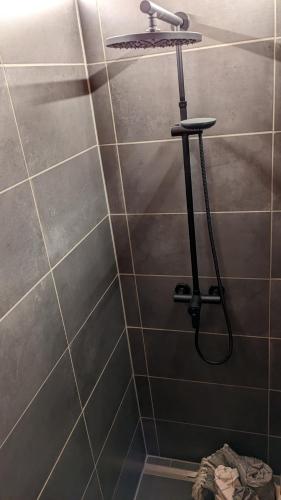 a shower with a shower head in a bathroom at Ferienhaus-Blockhütte im Fichtelgebirge - Nagler See 2 km in Nagel
