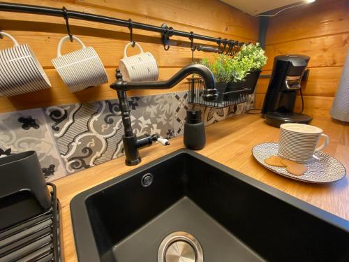 a kitchen counter with a sink and a sink at Ferienhaus-Blockhütte im Fichtelgebirge - Nagler See 2 km in Nagel