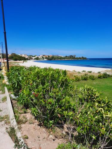 a row of plants on the side of a beach at Relax al Mare in Olbia
