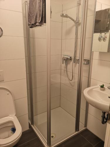 La salle de bains est pourvue d'une douche, de toilettes et d'un lavabo. dans l'établissement Beautiful flat ,WIFI , easy parking, à Ingolstadt