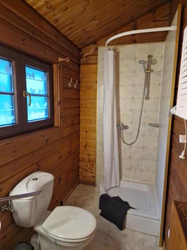 La salle de bains est pourvue d'une douche et de toilettes blanches. dans l'établissement Ferienhaus Kellers Finkennest, à Braunfels