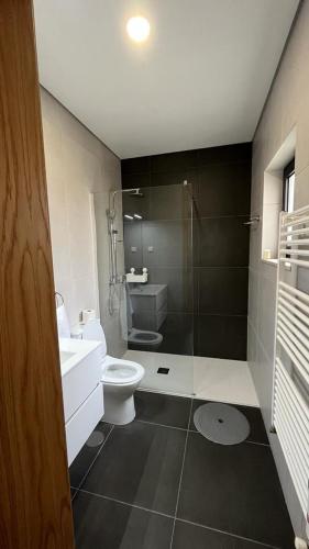 a bathroom with a toilet and a sink and a shower at Casa da Falperra in Arcos de Valdevez