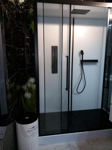 uma cabina de duche em vidro com um telefone em La petite Savane em Oostende