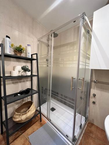 een douche met een glazen deur in de badkamer bij Encantador Piso Zamora in Madrid