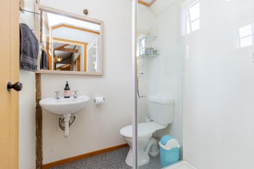 a bathroom with a toilet and a sink and a mirror at Nadarra Hideaway in Otorohanga