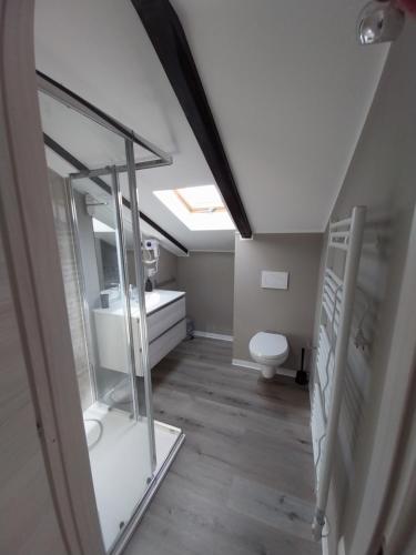 a bathroom with a toilet and a sink and a mirror at PENSIUNEA IDEAL in Băile Borşa