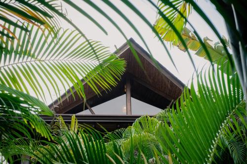 a building through the leaves of palm trees at Lua Villas in Santa Teresa Beach