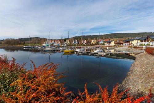 a marina with boats in the water and houses at Apartament A121 Molo Lipno s infrasaunou - Residence Koubek in Lipno nad Vltavou