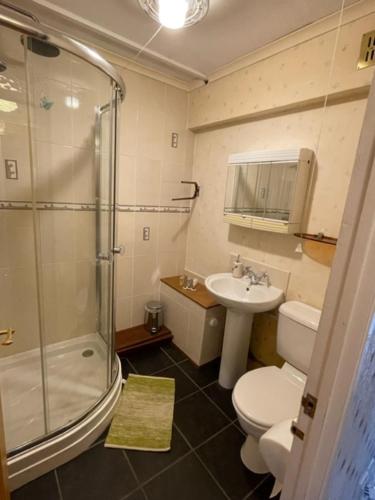 a bathroom with a toilet and a sink and a shower at West End Hidden Gem - Modern 2-Bedroom Apartment with residents patio in Anniesland