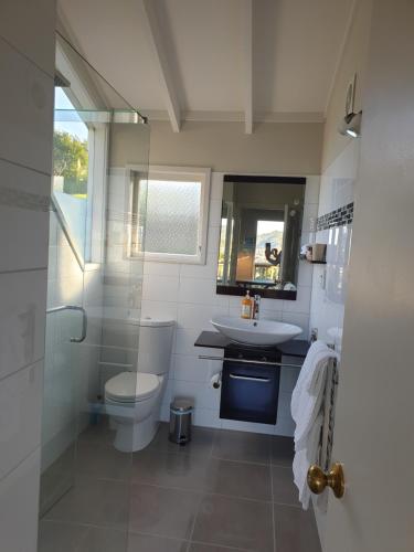 a bathroom with a toilet and a sink and a mirror at Brenton Lodge in Whangamata