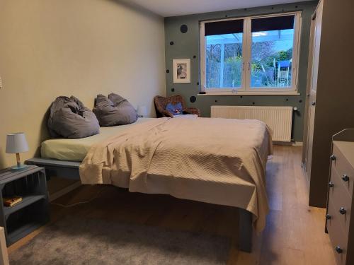 a bedroom with a bed with pillows and a window at Das Lupinchen in Neuss